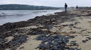 Il y a la bonne et la mauvaise pompe ! Boulettes De Petrole Sur Des Plages Du Var Plaintes Deposees Et Vaste Nettoyage Bio A La Une