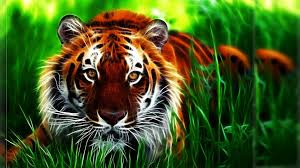 You can also upload and share your favorite 3d live wallpapers. Live 3d Tiger Wallpaper Download Peepsburgh