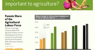 Why Are Women So Important To Agriculture Infographic Female Farmer Interactive