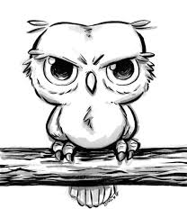 Grumpy Owl Owls Drawing Whimsical Art Drawings