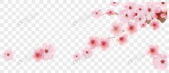 Des fleurs comme sakura et les chrysanthèmes sont des symboles nationaux de la culture japonaise, et exerce une grande puissance dans la beauté du pays et la vie des japonais. Photo De Dessin Anime Romantique Fleur De Cerisier Ornement Japonais Numero De L Image400907122 Format D Image Png Fr Lovepik Com