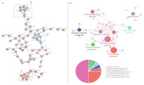 This topic will review the challenges related to the identification of complex trait susceptibility genes, the factors that contribute. Genes Free Full Text A Gene Set Enrichment And Protein Protein Interaction Network Based Gwas With Regulatory Snps Identifies Candidate Genes And Pathways Associated With Carcass Traits In Hanwoo Cattle Html