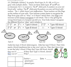 Solution amoeba sisters video recap monohybrid crosses mendelian worksheet studypool. What Are The Multiple Alleles For Blood Type