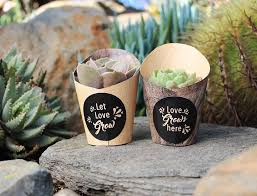 Our gift wrap is designed and printed in the uk onto thick fsc accredited paper. Cacti Succulents Page 2 Of 12 Altman Plants