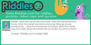 Why do camels have humps. Alice The Camel Riddles Com