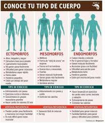 Ejercicio Para Tipos De Cuerpo Ectomorfo Mesomorfo Endomorfo Tipos De Cuerpo Rutinas De Ejercicio Rutinas De Entrenamiento