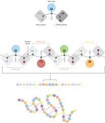 The main chain (or polypeptide backbone). Protein Structure Learn Science At Scitable