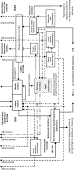 (video by jennafer savino and justin. Applications Of Electrodermal Recording Springerlink