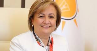 Pin On Ak Parti Millet Vekilleri