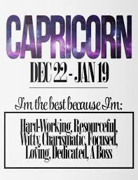 Capricorn Hard Working Charismatic Dedicated Capricorn Sagittarius Aquarius