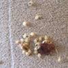 Completely destroying bed bugs on contact. 1
