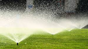 How To Transform Your Sprinkler System To Drip Blog