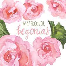Watercolor Begonias Clip Art Spring Florals Garden Clip Art Etsy In 2021 Clip Art Watercolor Business Cards Flower Clipart