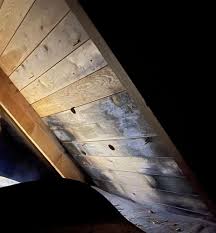 Image result for site:byggahus.se rötskada