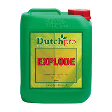 Hydro Farmers Name Dutch Pro Explode 10ltr