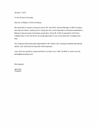 Keep it short, a page or two at most is okay. Visa Request Letter Sample Embassy Visa Application Cover Letter Donation Letter Letter Sample Request Letter