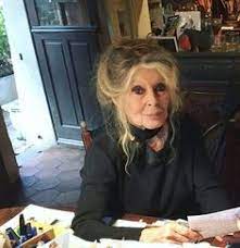 Brigitte's mother encouraged her daughter to take up music and dance, and she proved to be very adept at it. 450 Bardot Ideas In 2021 Bardot Bridget Bardot Brigitte Bardot