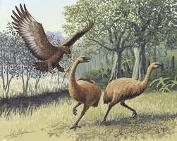 Why Do Birds Fly South For The Winter Riddle Https Www Google Com Search Q Malagasy Crowned Eagle Stephanoaetus Mahery Animales Extintos Extintos Animales De La Prehistoria