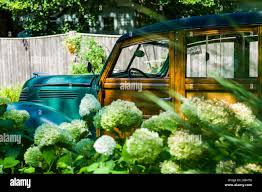 Image result for Haig Green 1930 Chrysler