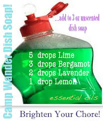 Pin By Dianne Walker On Camp Wander Daily Essential Oils Cleaning Essential Oils Soap Diy Essential Oils