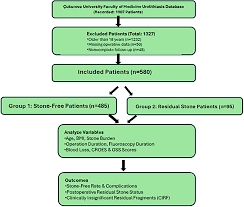 Image result for STONE Score