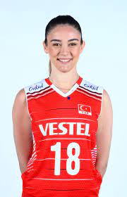Lig takımlarından i̇stanbul büyükşehir belediyesi'nde bir sezon kiralık olarak forma giydi. Zehra Gunes Turkiye Voleybol Federasyonu Tvf