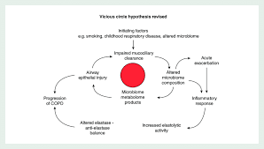 The Vicious Cycle In Chronic Obstructive Pulmonary Disease