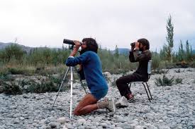 Monitoring Trans-Himalayan Migrants in Ladakh