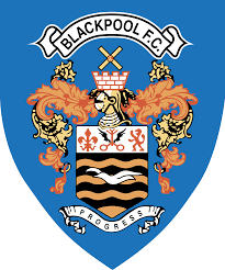 What happens when the bug occurs? Fc Blackpool Logos Download