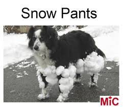 images?q=tbn:ANd9GcQePNsSiDONjjjaB0ArQmq