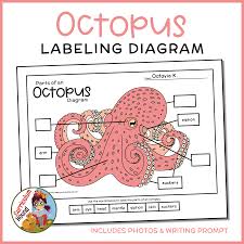 Pin On Curriculum Hound Tpt