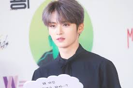 We K Pop 7 1 2019 Lee Know Lee Know Stray Kids Lee Minho Stray Kids
