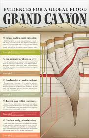 Evidences For A Global Flood Grand Canyon Wall Chart