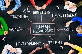 College career offices often have experiences for alumni networking. Human Resources Associate Job Description What Does Hr Do