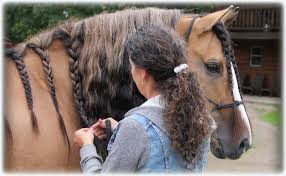 Mane n tail herbal shampoo mane n nail is the company's most popular product, but others are available, such as herbal hair sprays and treatments, in addition to natural oils on your scalp and hair are taken away from chemicals, resulting in dryness. Natural Hair And Skin Care Development Archives Ranch Life Naturals