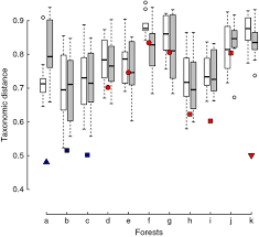 Image result for Lindackeria bukobensis