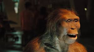 Fáról leesve halhatott meg Lucy, az egyik legismertebb előember