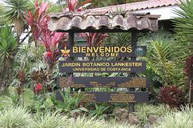 Considered to be both a traditional central. Hot Springs And Chocolate Tour In Costa Rica With Free Days In Guan