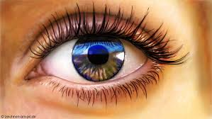 Realistisch Zeichnen Malen Mit Adobe Photoshop Tutorial