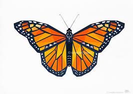 This is a digital file only, you will not receive a printed physical version. June 127 By Oksana Andryushchenko On Etsy Butterfly Tattoo Butterfly Tattoos For Women Monarch Butterfly Tattoo