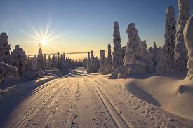 Lapland borders the region of north ostrobothnia in the south. Frachtschiffreise Von Lubeck Nach Lappland Finnland Fahrzeug Moglich
