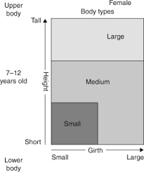 Infants And Children Understanding Sizing Body Shapes And