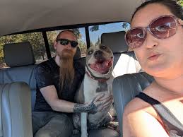 Update: Adopted! 🥳 Ruth was my favorite pup I met today. She is shut down  and scared but under all of that she just wanted so much love from me. She  started