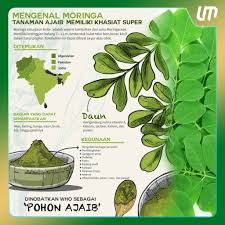 Pembekal produk yang kesihatan dari malaysia yang mengandungi daun moringa oleifera. Mr Moringa Gel Mandian Moringa Menghilangkan Gatal Dan Merawat Masalah Kulit 100ml Shopee Malaysia