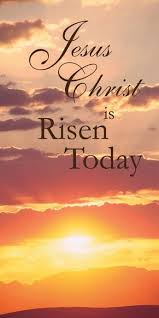 We did not find results for: Pin On Pattern Purrrfect