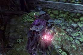 Sekiro lone shadow