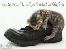 ★ gute nacht mein schatz: Coolphotos De Grusskarten Gute Nacht Lustig