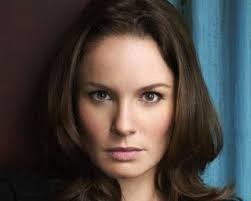 Prison Break Prison Break Season 1 Episode 4 Sara Tancredi Meilleurs Films Film