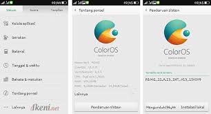 Memang tidak menjamin akan berhasil namun tidak ada salahnya anda coba agar nantinya anda tahu hasilnya seperti apa. 2 Cara Software Update Coloros Di Oppo Ikeni Net