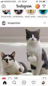 Gambar lucu bergerak terbaru untuk dp bbm wa unik 2019. Video Lucu Dan Story Wa Terpopuler Home Facebook